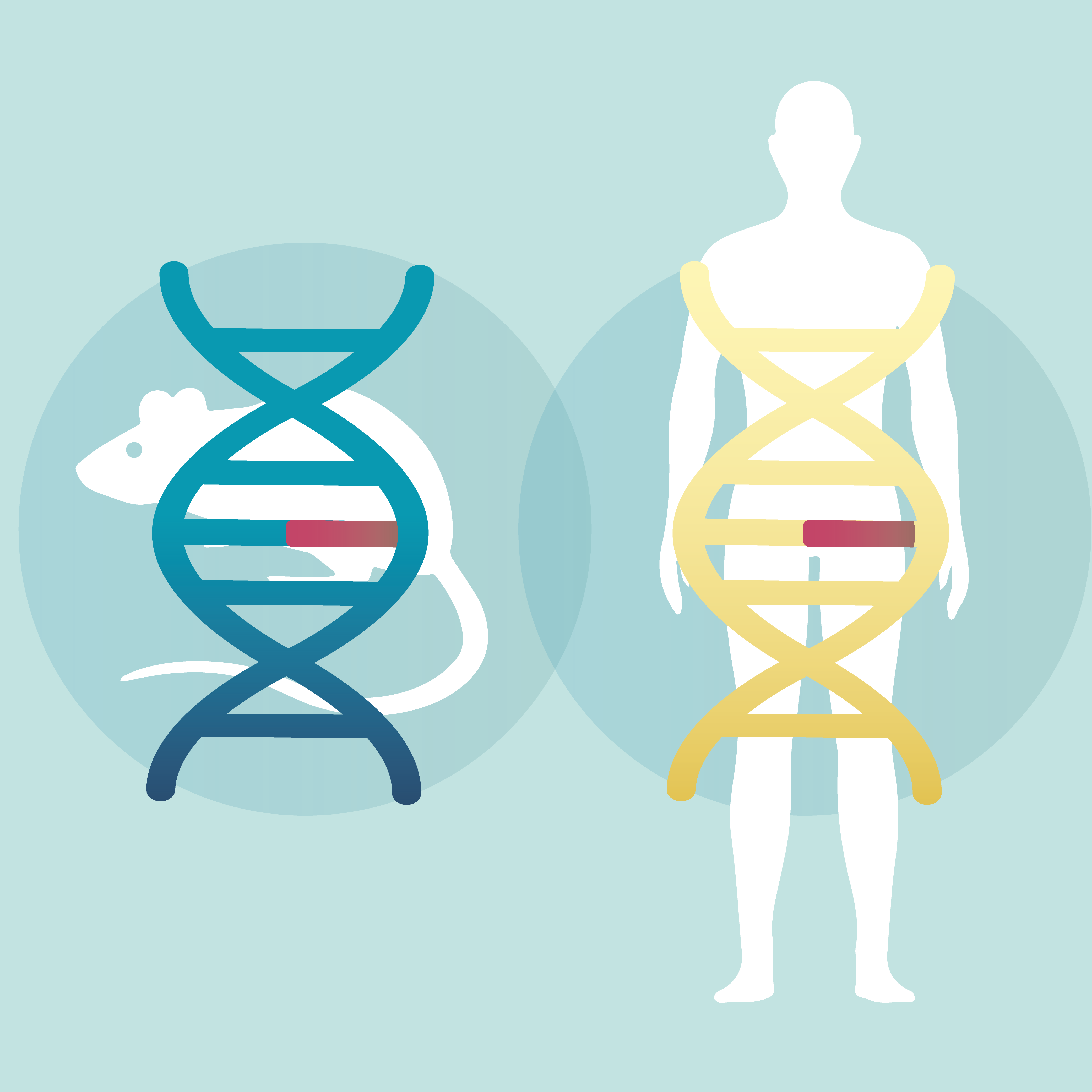 Comparative genomic models of disease