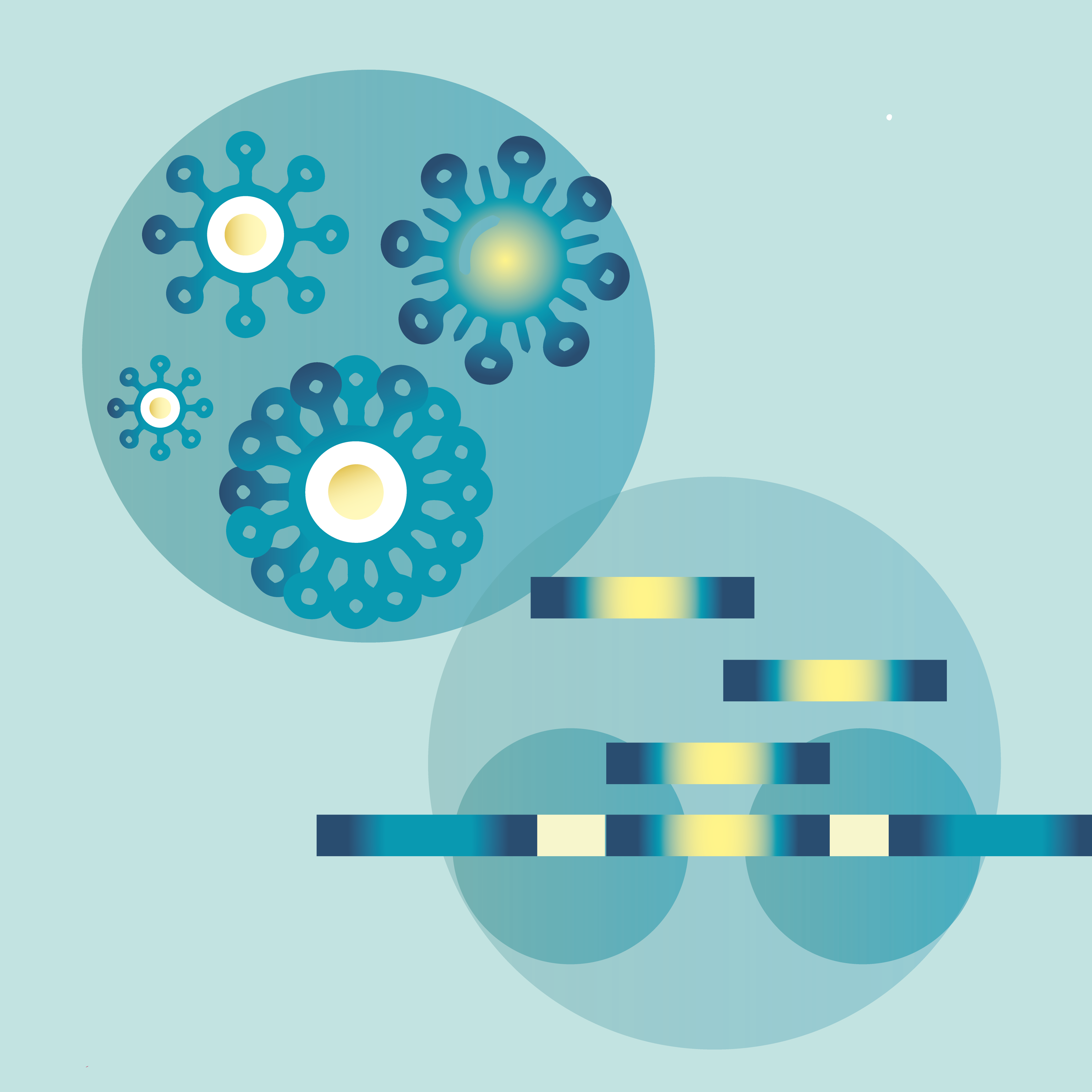 Viral evolution and transposable elements