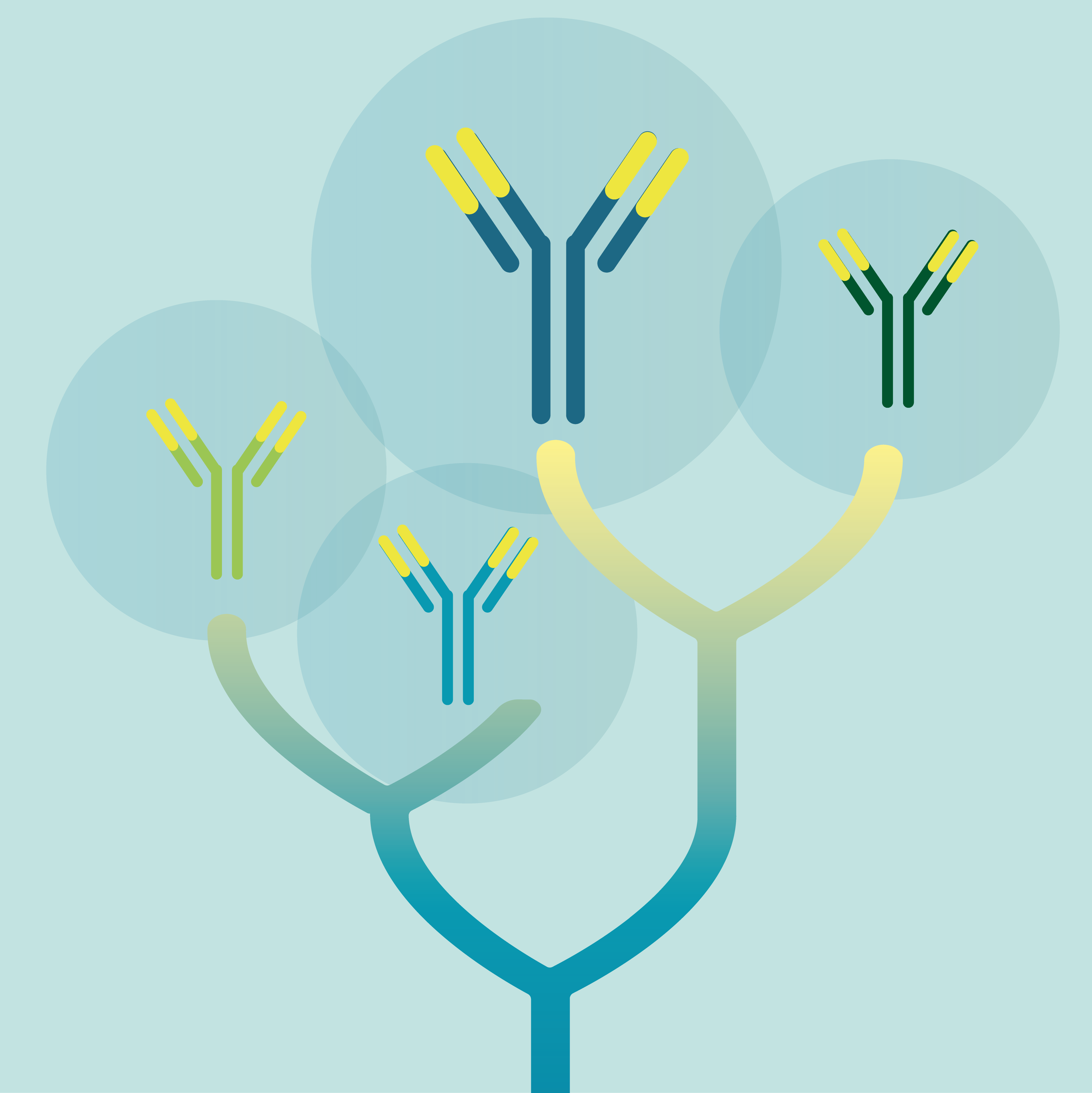 Evolutionary Immunology