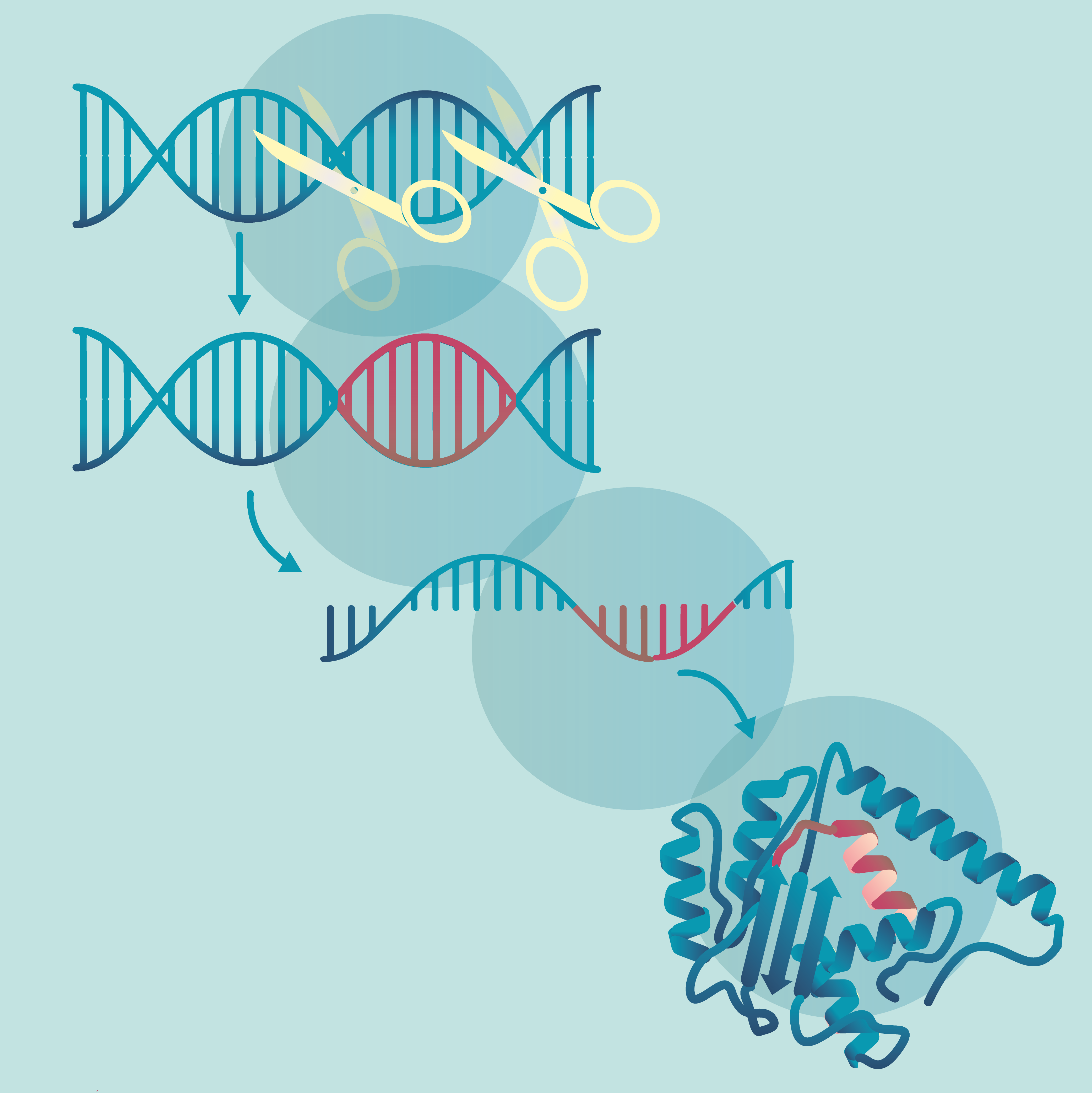 Biotechnology applications